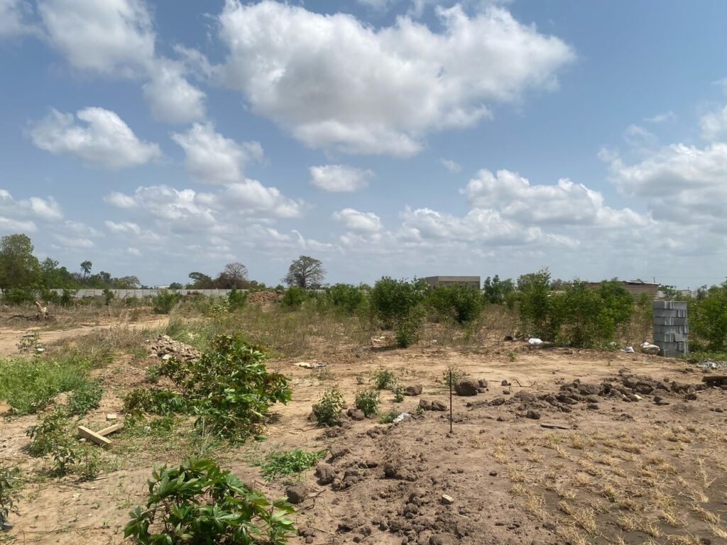 Site photos1