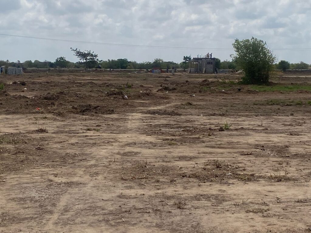 Site photos2
