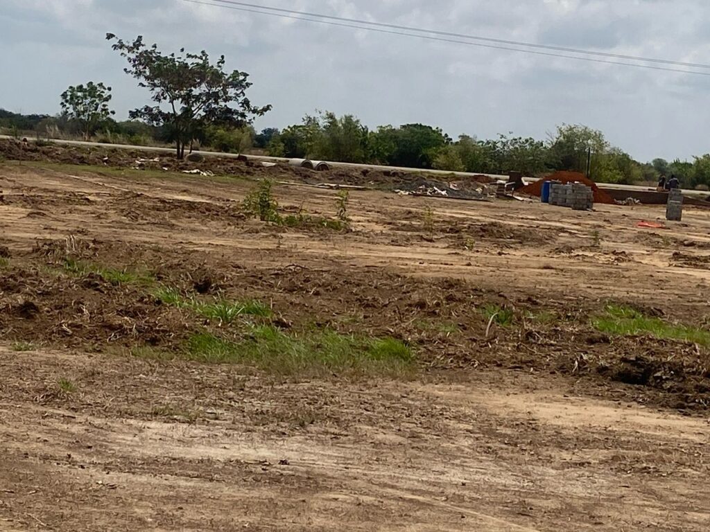 Site photos4